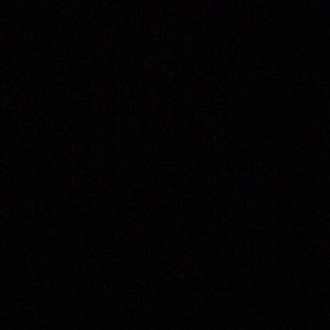 Meet your Posher, Hayley